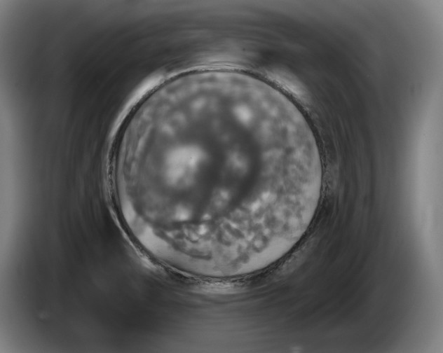 X0000087411470200705041238