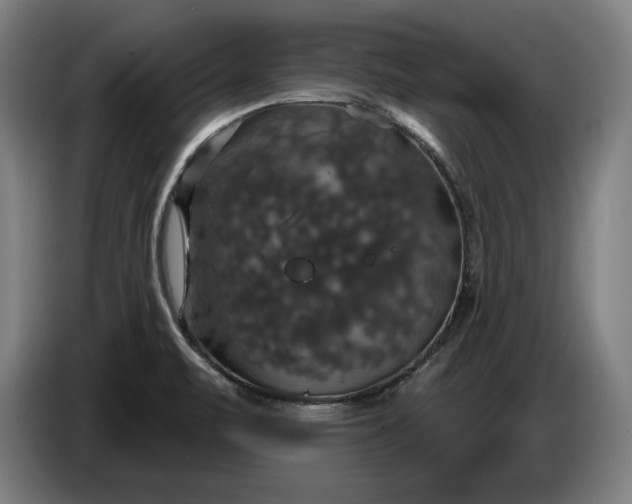 X0000087411471200705041238