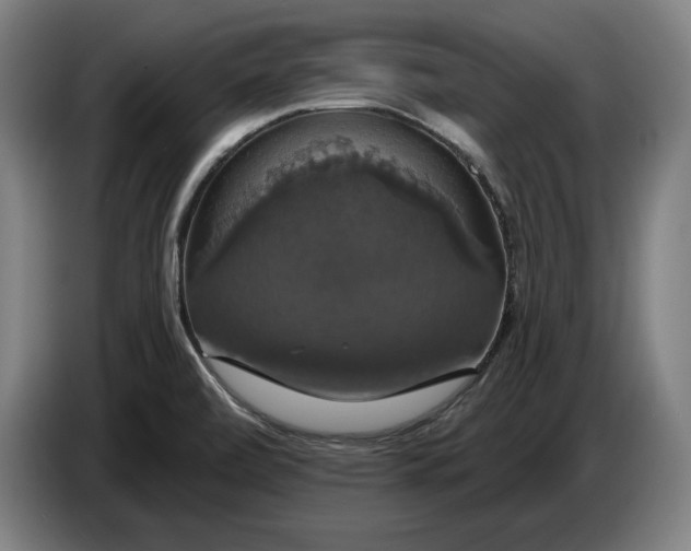 X0000087411472200705041238