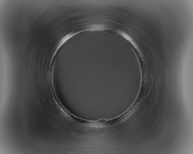 X0000087411473200705041238