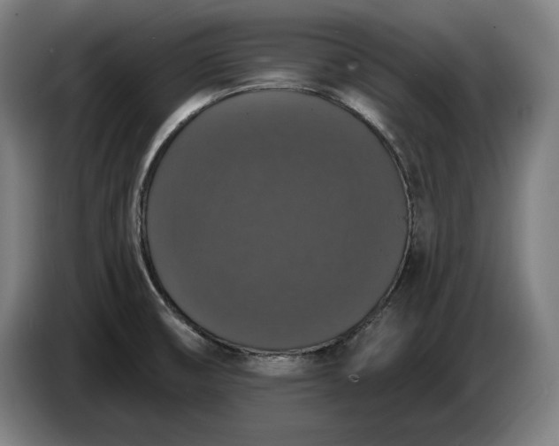 X0000087411474200705041238