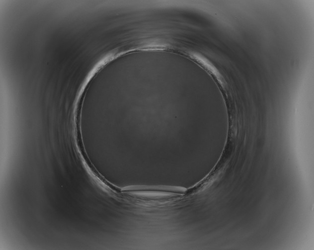 X0000087411475200705041238