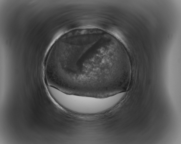 X0000087411476200705041238