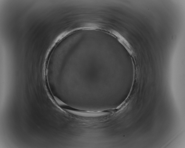 X0000087411477200705041238