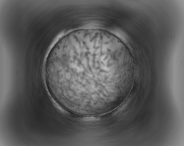 X0000087411478200705041238