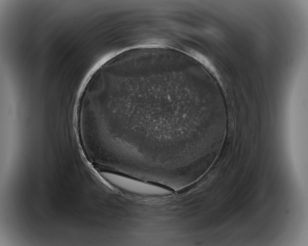 X0000087411480200705041238
