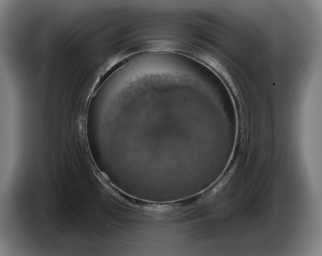 X0000087411481200705041238