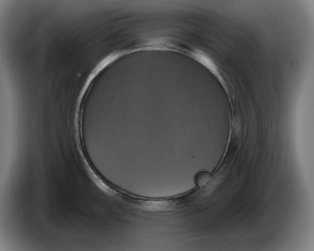 X0000087411482200705041238