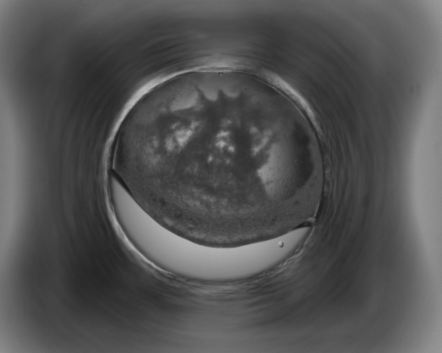 X0000087411483200705041238