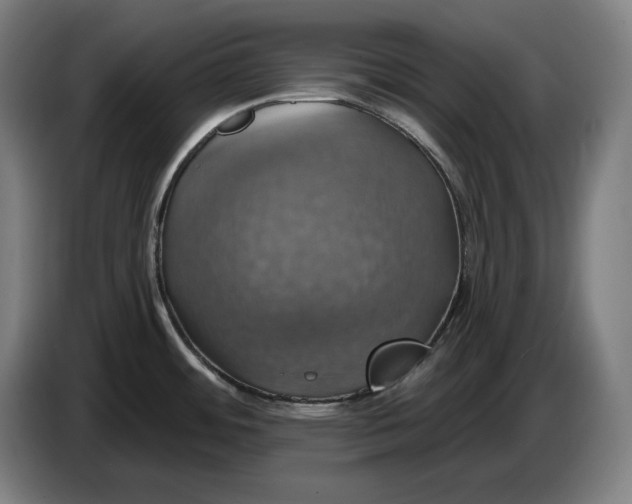 X0000087411484200705041238