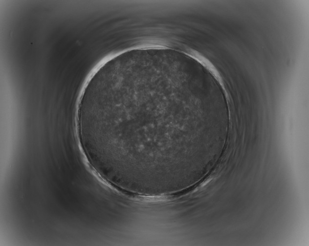 X0000087411488200705041238