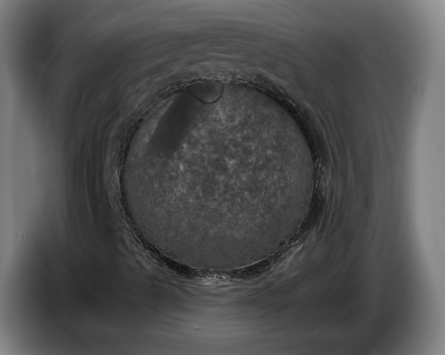 X0000087411489200705041237
