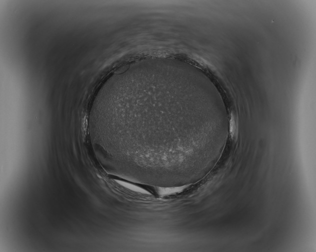 X0000087411492200705041237