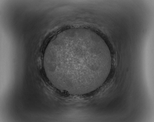 X0000087411493200705041237