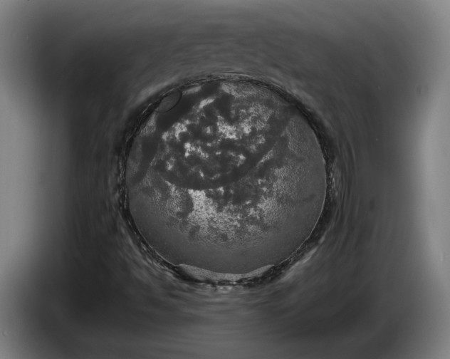 X0000087411494200705041237