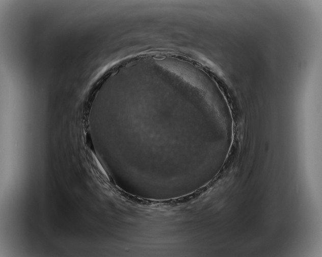 X0000087411496200705041237