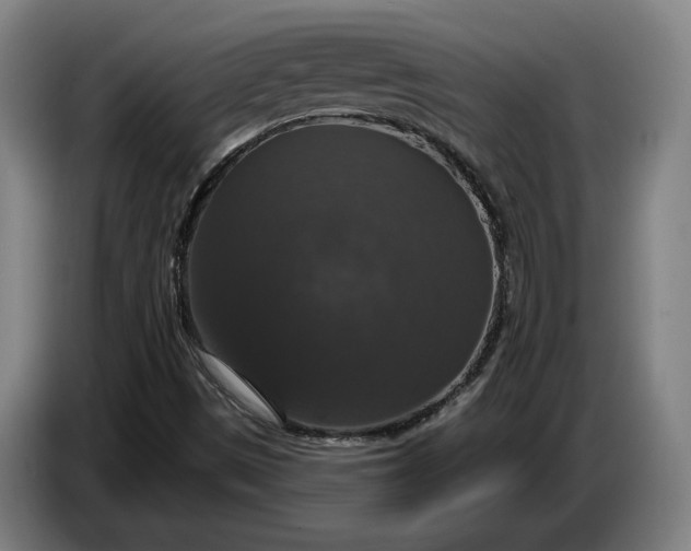 X0000087411497200705041237
