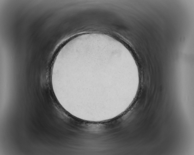 X0000087411498200705041237