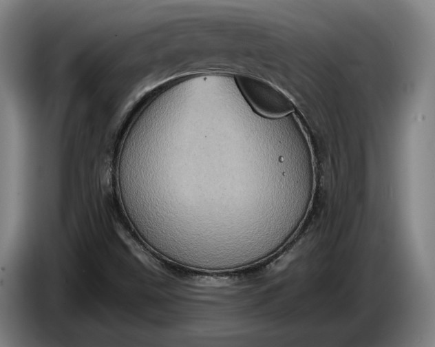 X0000087411499200705041237