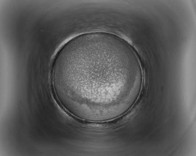 X0000087411500200705041237