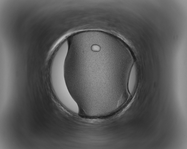 X0000087411502200705041237