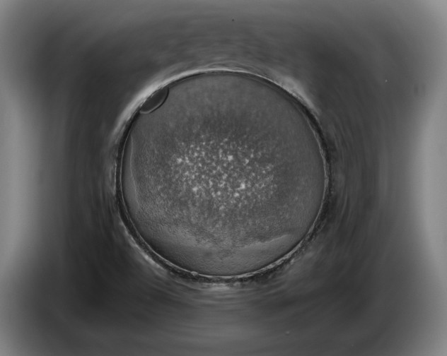 X0000087411504200705041237