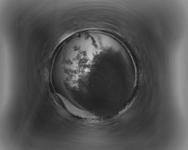 X0000087411505200705041237