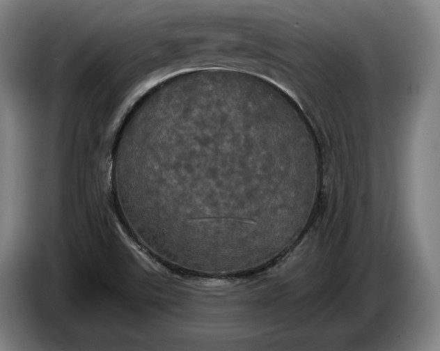 X0000087411507200705041237