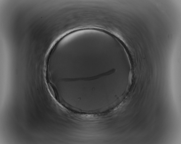 X0000087411508200705041237