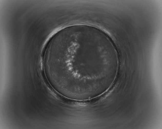 X0000087411509200705041237
