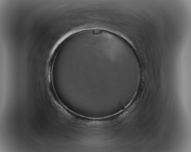X0000087411510200705041237