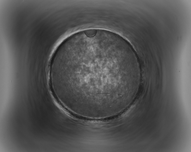 X0000087411511200705041237