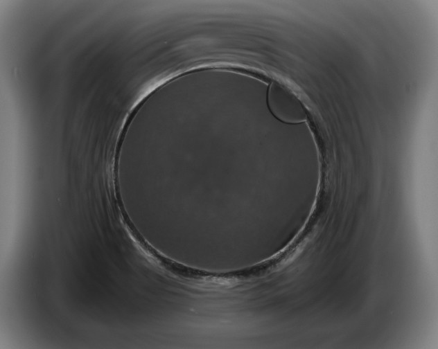 X0000087411513200705041237