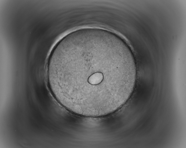 X0000087411514200705041237