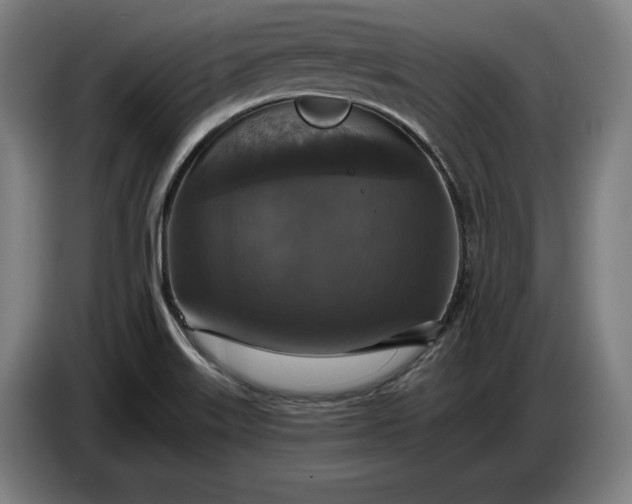 X0000087411515200705041237