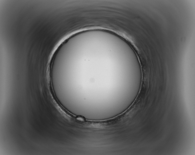X0000087411516200705041238