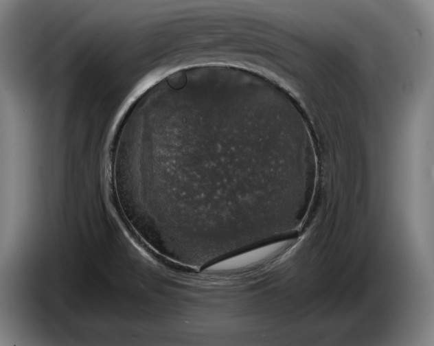 X0000087411517200705041238
