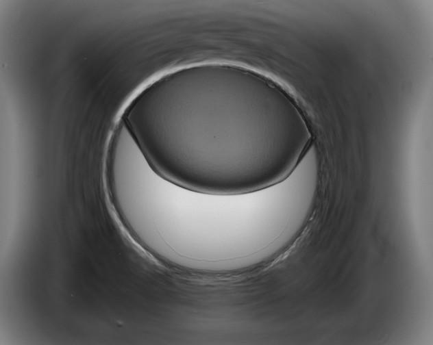 X0000087411518200705041238
