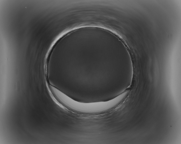 X0000087411519200705041238