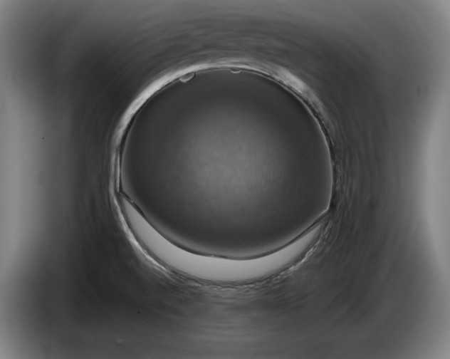 X0000087411520200705041238