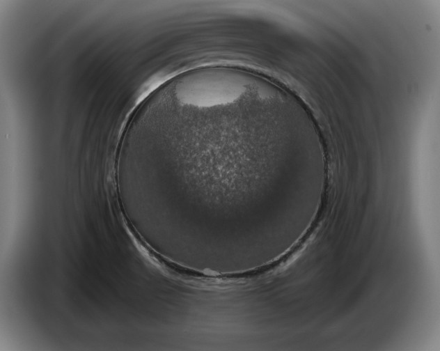 X0000087411521200705041238
