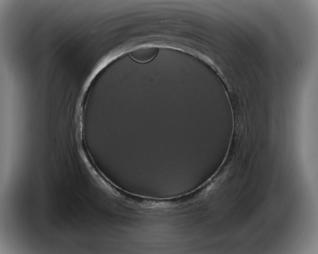 X0000087411522200705041238