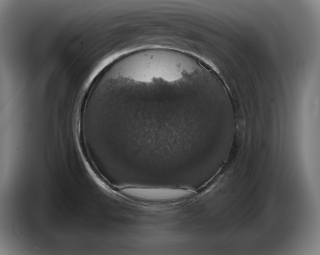 X0000087411523200705041238
