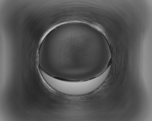 X0000087411524200705041238