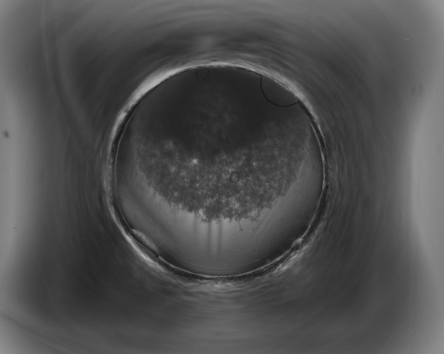 X0000087411525200705041238