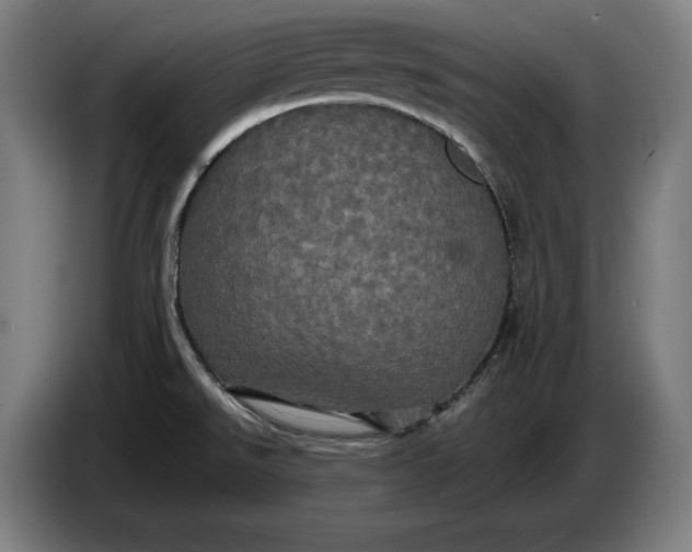 X0000087411526200705041238