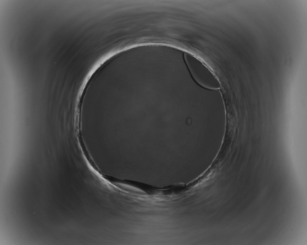 X0000087411527200705041238