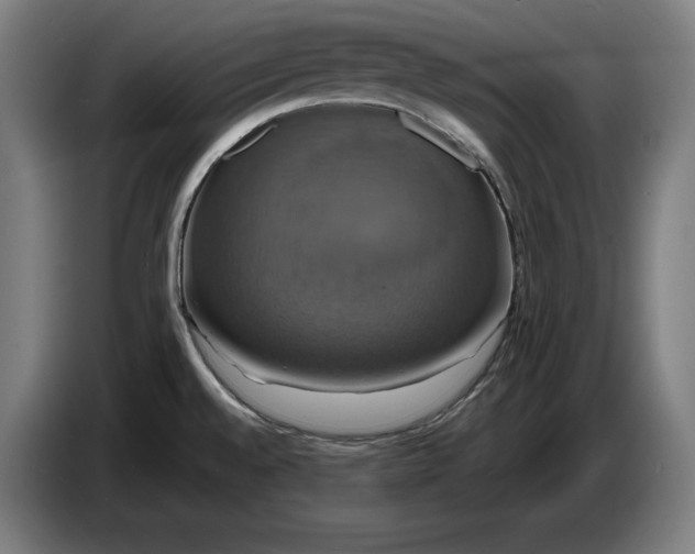 X0000087411528200705041238