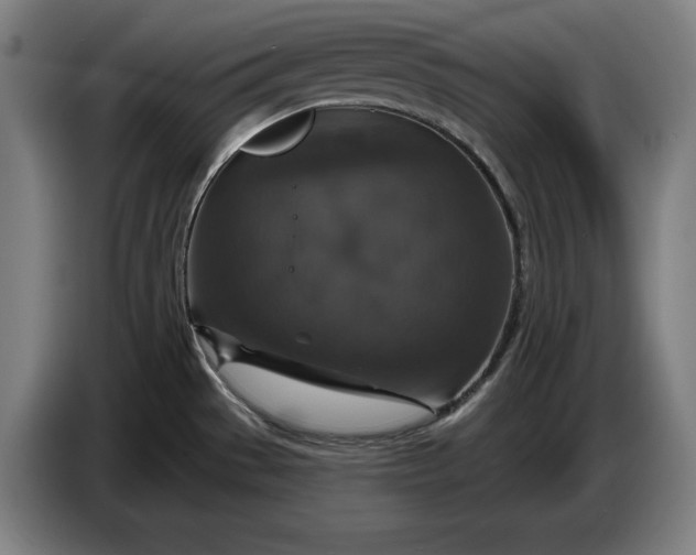 X0000087411529200705041238