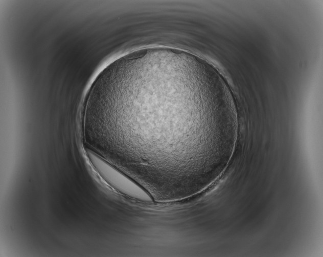 X0000087411530200705041238